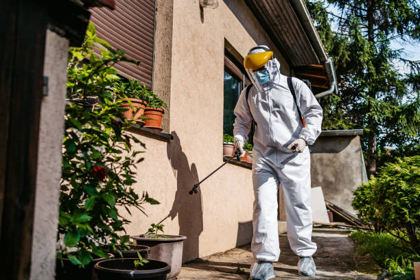 Bird Control in Folsom, NJ