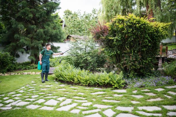 Best Residential Pest Control  in Folsom, NJ