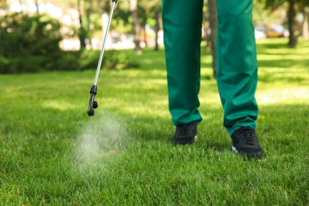 Best Pest Inspection Near Me  in Folsom, NJ