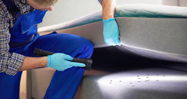 Best Best Pest Control Companies  in Folsom, NJ