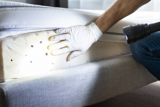 Best Pest Control Near Me  in Folsom, NJ