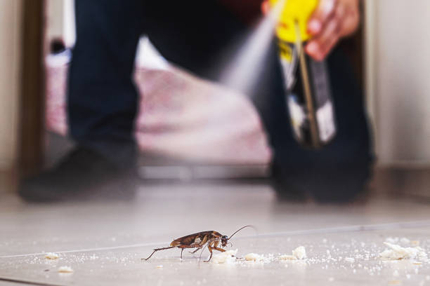 Best Cockroach Control Services  in Folsom, NJ