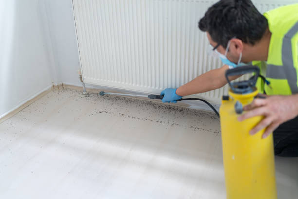 Best Mosquito Control Services  in Folsom, NJ