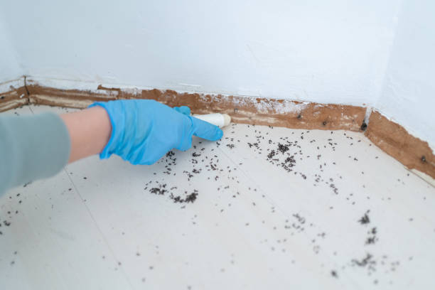 Folsom, NJ Pest Control Company